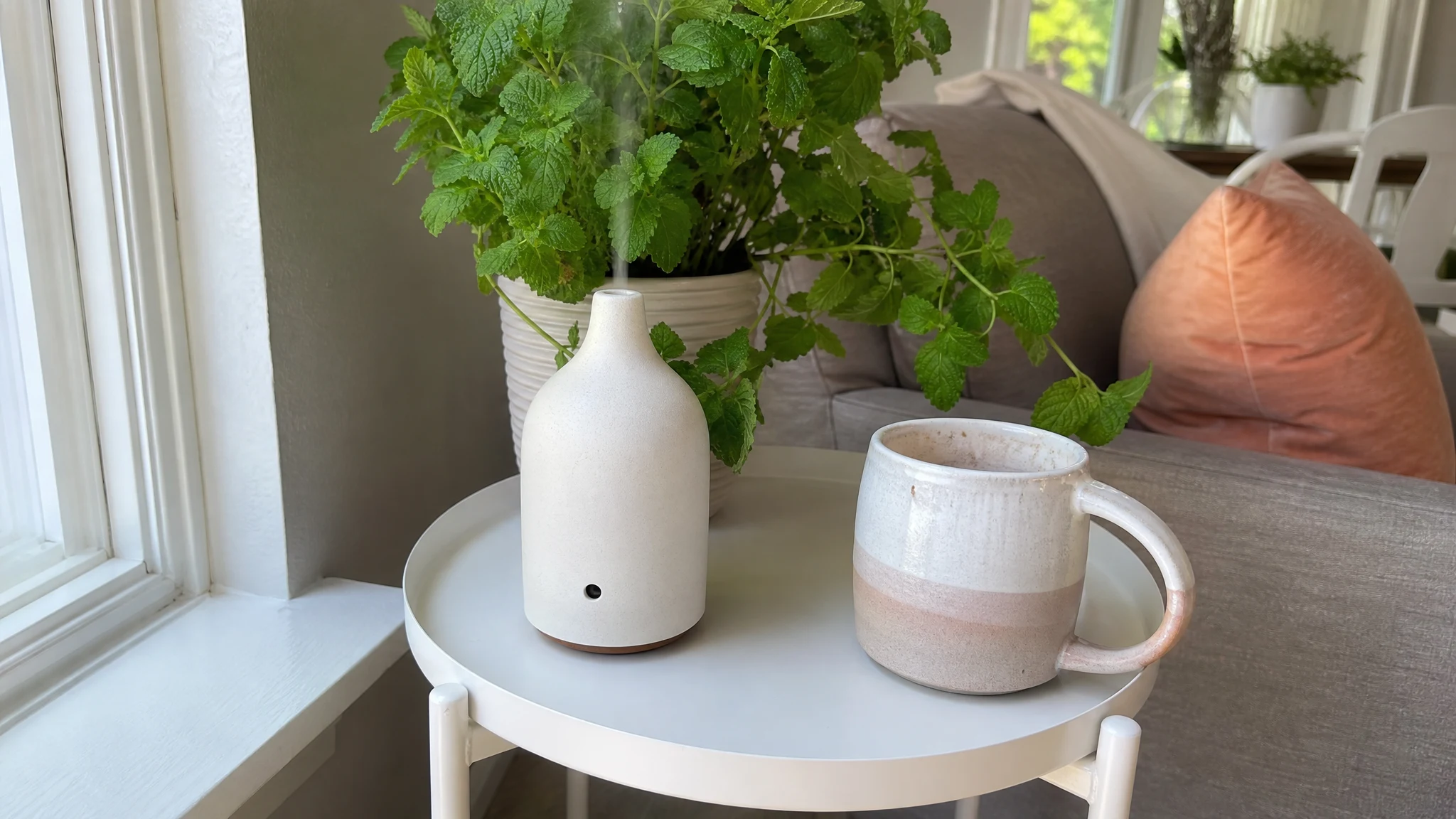 How Many Drops of Peppermint Oil in a Diffuser
